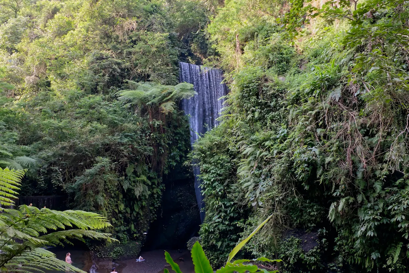 Goa Raja Waterfall - Bali Tour and Activities